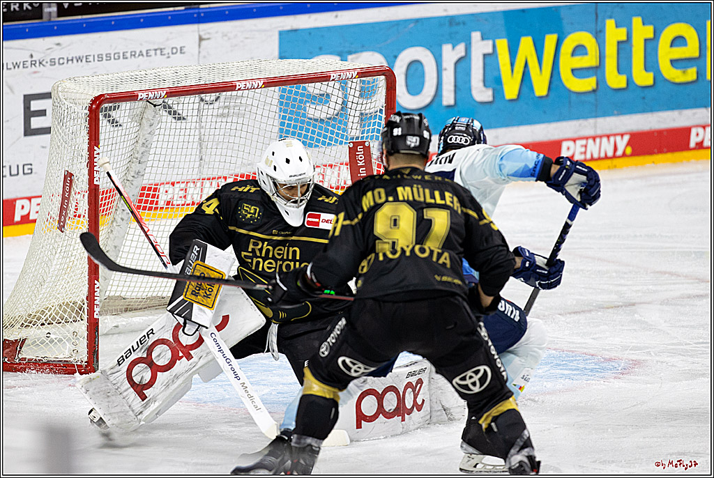 PENNY DEL;  Kölner Haie - ERC Ingolstadt; Köln, 25.11.2022